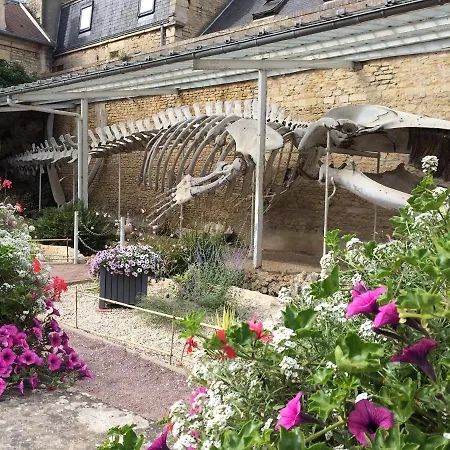 Feriehus La Petite Marie-b, Terrasse, Plages A 250m *