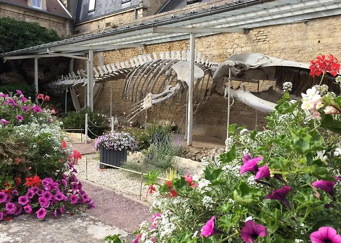 Casa de Férias La Petite Marie-b, Terrasse, Plages à 250m *